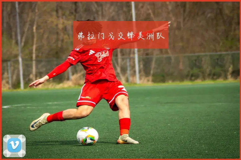 弗拉门戈交锋美洲队