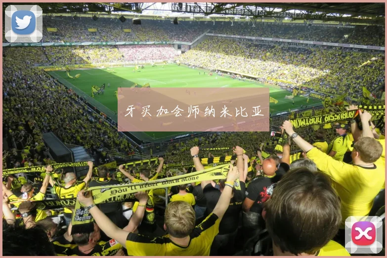 牙买加会师纳米比亚
