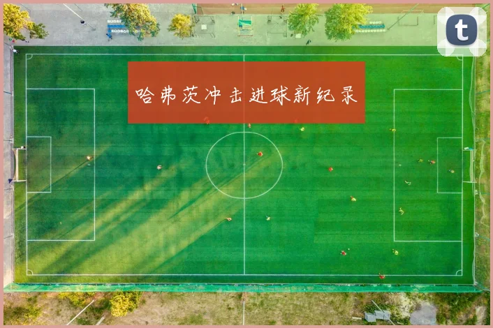 哈弗茨冲击进球新纪录