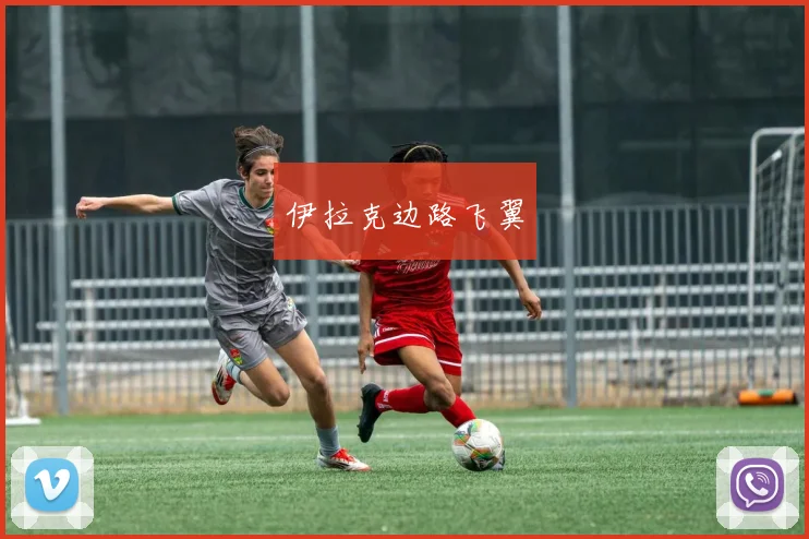 伊拉克边路飞翼