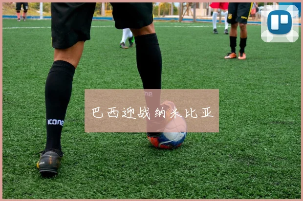 巴西迎战纳米比亚